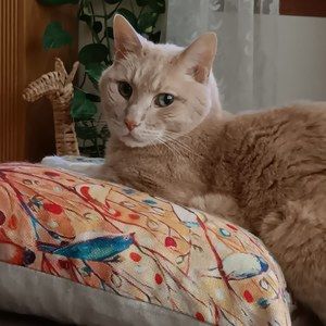 Meet your Posher, Karen